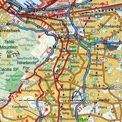 100 KM around Cape Town Preview 3