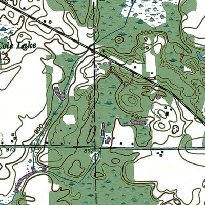 MI-Ceresco: Authoritative U.S. Topo 1961 Preview 2