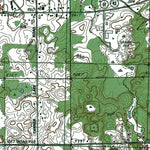 MI-Hastings: Authoritative U.S. Topo 1980 Preview 3