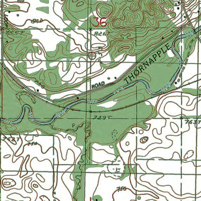 MI-Middleville: Authoritative U.S. Topo 1980 Preview 2