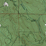 CA-Big Basin: Authoritative US Topos 1991 Preview 2