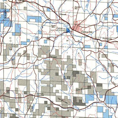 Jasper, AL - BLM Minerals Mgmt. Preview 3