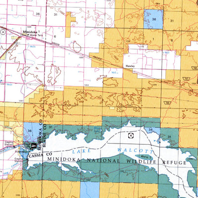Lake Walcott, ID - BLM Surface Mgmt. Preview 2