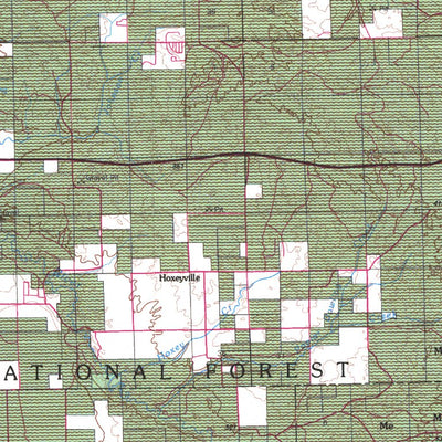 Cadillac, MI - BLM Surface Mgmt. Preview 3