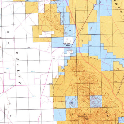Animas, NM - BLM Surface Mgmt. Preview 2