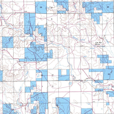 Clayton, NM - BLM Surface Mgmt. Preview 2