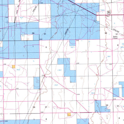 Tatum, NM - BLM Surface Mgmt. Preview 2
