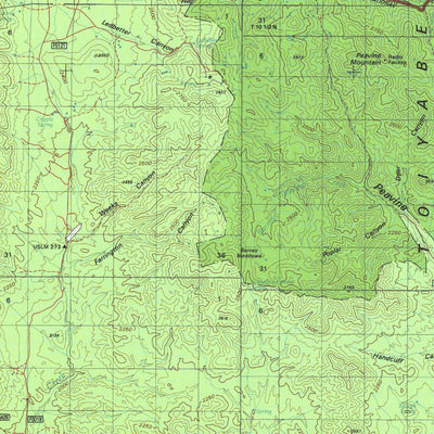 Ione Valley, NV - BLM Surface Mgmt. Preview 2