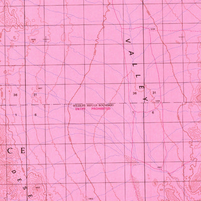 Pahranagat Range, NV - BLM Surface Mgmt. Preview 2