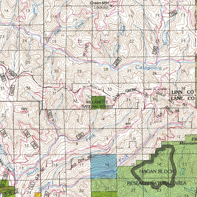 McKenzie River, OR - BLM Surface Mgmt. Preview 2