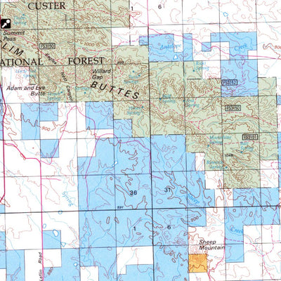 Redig, SD - BLM Surface Mgmt. Preview 3