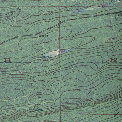 MI-Lake Medora: GeoChange 1943-2012 Preview 2
