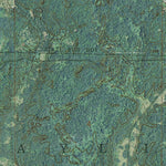 MI-Big Bradford Lake: GeoChange 1949-2012 Preview 3