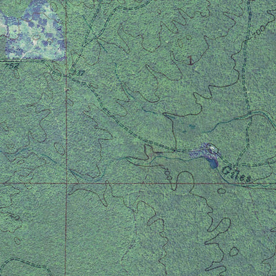 MI-Rice Lake: GeoChange 1951-2012 Preview 2