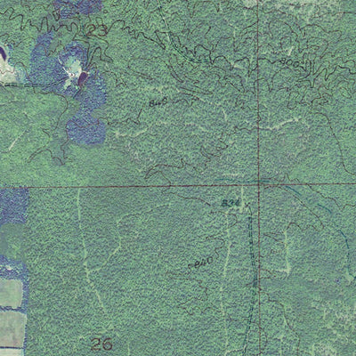 MI-Rice Lake: GeoChange 1951-2012 Preview 3