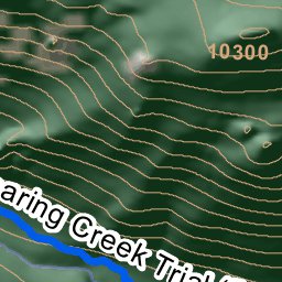 Roaring Creek Trail Preview 2