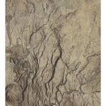 CA-Petroglyph Canyon: GeoChange 1976-2012 Preview 1