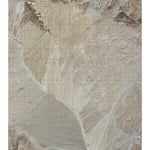 CA-East Of Tin Mountain: GeoChange 1976-2012 Preview 1