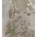 CA-Tin Mountain: GeoChange 1980-2012 Preview 1