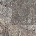 CA-NV Thimble Peak: GeoChange 1982-2012-10 Preview 2