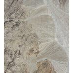 CA-Dry Bone Canyon: GeoChange 1982-2012 Preview 1