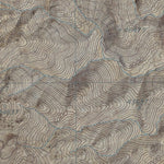 CA-Lee Wash: GeoChange 1982-84-2012 Preview 3