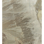 CA-Maturango Peak SE: GeoChange 1976-2012 Preview 1