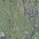 NV-Mount Rose NW: GeoChange 1966-2010 Preview 2