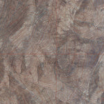 NV-Parker Butte: GeoChange 1982-2010 Preview 3