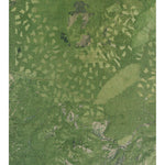 CA-Roop Mountain: GeoChange 1973-2012 Preview 1