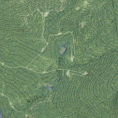 ME-Kennebago Lake: GeoChange 1966-2009 Preview 3
