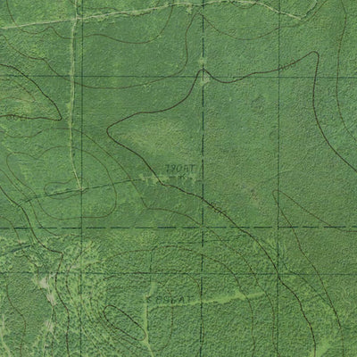 ME-Forks Of Machias: GeoChange 1982-2011 Preview 2