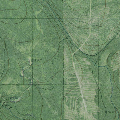 ME-Little Machias Lake: GeoChange 1982-2011 Preview 2