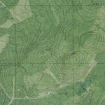 ME-Five Finger Brook: GeoChange 1982-2011 Preview 2