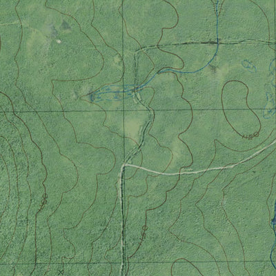 ME-Eastman Brook: GeoChange 1982-2011 Preview 2