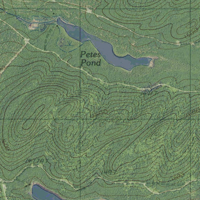 ME-Big Brook Lake: GeoChange 1982-2009 Preview 2