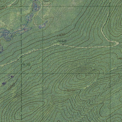 ME-Big Brook Lake: GeoChange 1982-2009 Preview 3