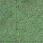 ME-NBR Falls Brook Lake: GeoChange 1982-2011 Preview 2