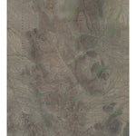 AZ-Mount Ajo: GeoChange 1986-2010 Preview 1