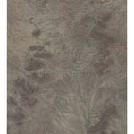 AZ-Ventana: GeoChange 1986-2010 Preview 1