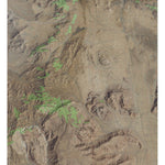 CA-Columbia Mtn: GeoChange 1978-2012 Preview 1