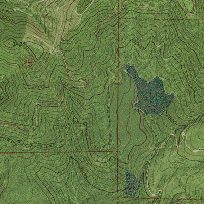 WA-Boyer Mountain: GeoChange 1965-2011 Preview 3