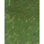 WA-Grisdale: GeoChange 1987-2011 Preview 1