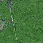 NY-Collins Center: GeoChange 1962-2011 Preview 2