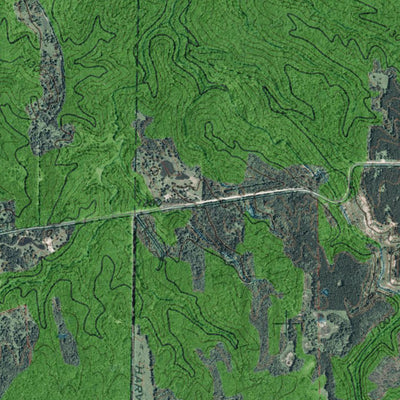 NY-Collins Center: GeoChange 1962-2011 Preview 3