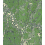 NY-Angelica: GeoChange 1963-2011 Preview 1