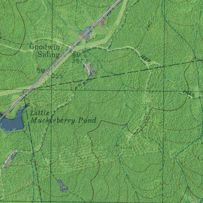 ME-Tunk Lake: GeoChange 1976-2011 Preview 3