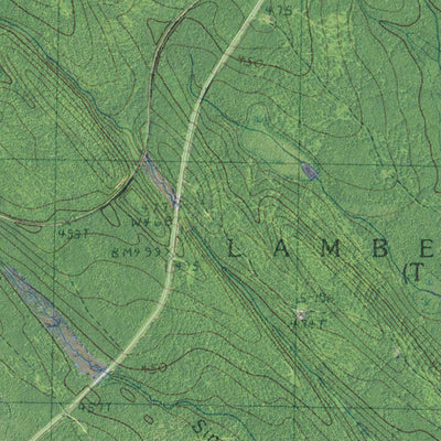 ME-NBR-Lambert Lake: GeoChange 1984-2009 Preview 3