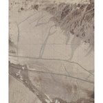 CA-Hector: GeoChange 1975-2012 Preview 1