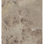 CA-West Of Nelson Lake: GeoChange 1983-2012 Preview 1
